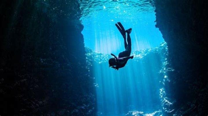 Dive Into The World Of Taylor Nicole Dean: Uncovering Insights & Inspiration