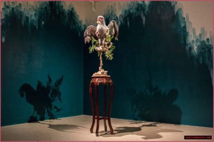 Unveiling The Multifaceted World Of Danielle Rosenberg: Discoveries And Insights
