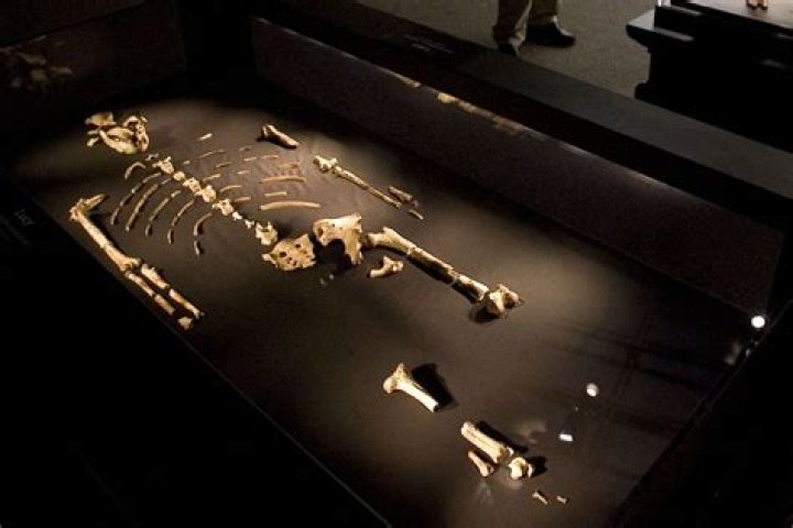 Unveiling The Multifaceted World Of Lucy McLay: Discoveries And Insights